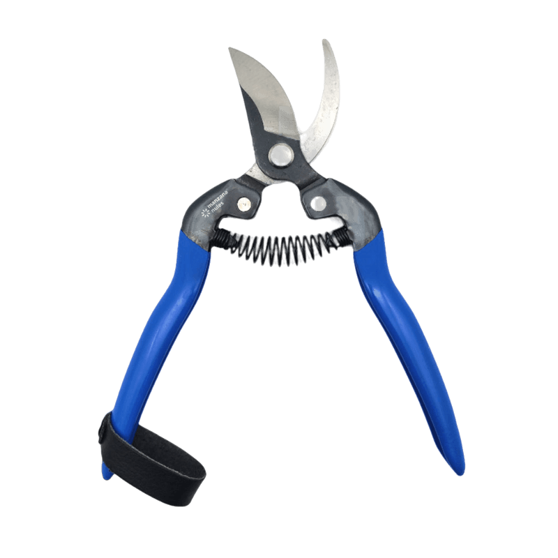 SCISSORS FOR HARVESTING FRUIT AND VEGETABLES